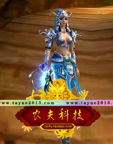 赤壁 单机版 网游单机 虎卫传奇商业服务端 单刷FB 十八兵器职业