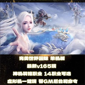完美国际V165 完美世界GM后台 VM一键端 神机羽锋 W7-W11