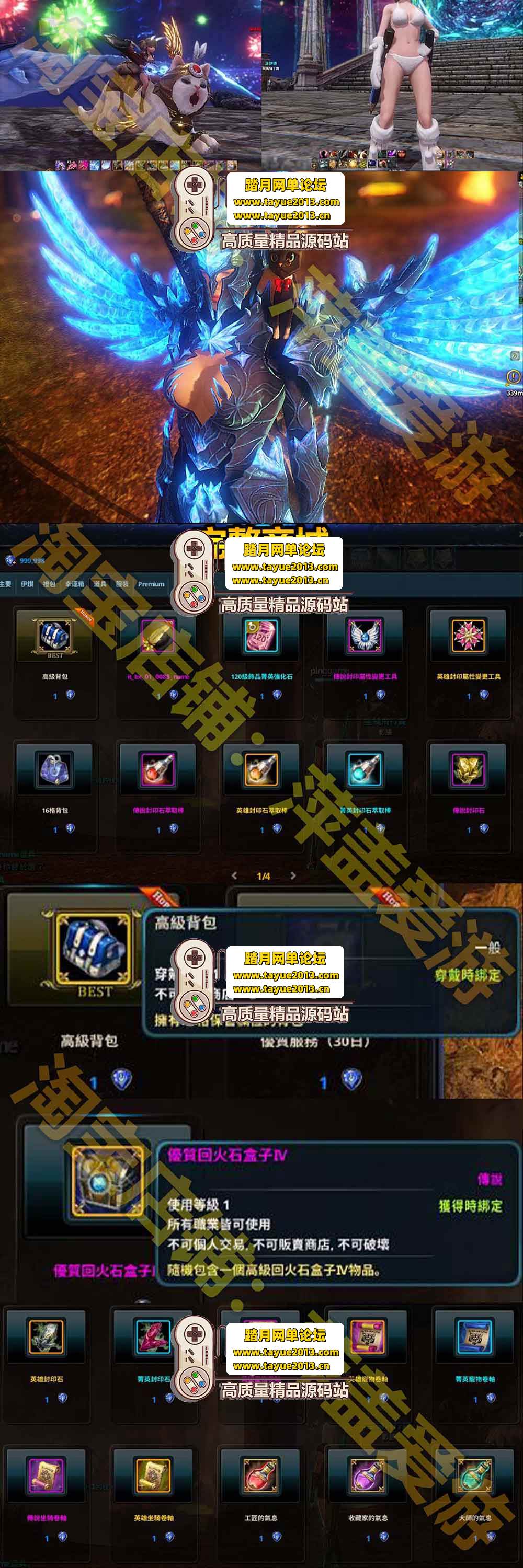 伊卡洛斯单机版修复驯养完整7职业虚拟机一键端GM数据修改获取