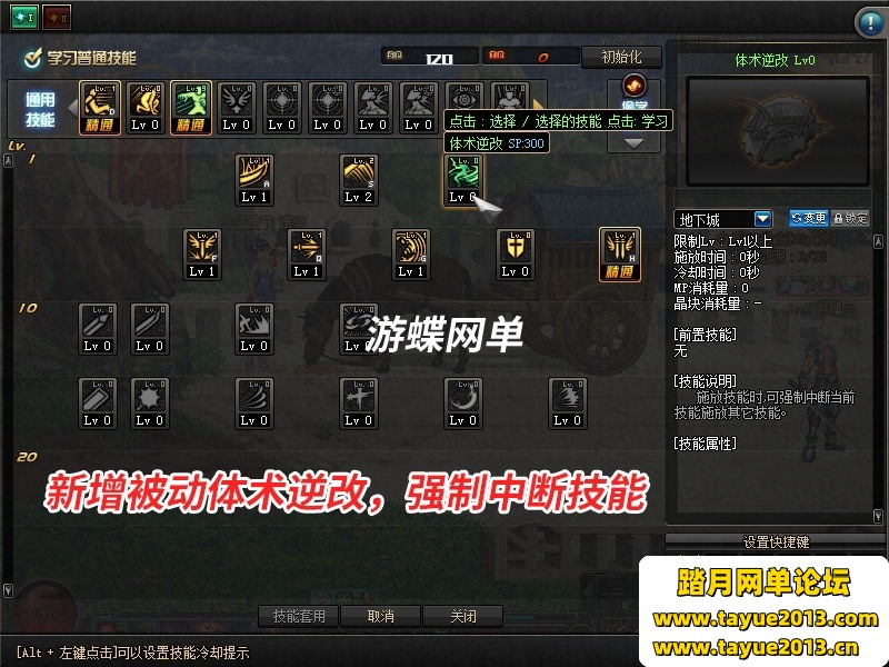 DOF单机版86黑金第二版完整任务单人副本革新丝滑技能GM网单