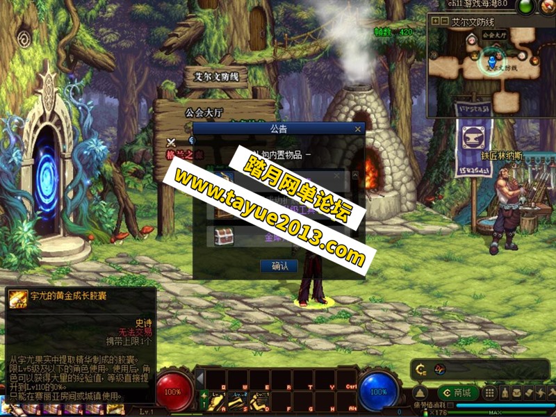 110DNF8.0 Ů֮ͥԺеսʵ֮ŭ+...