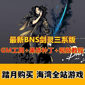 BNSϵ棬岹+GMߣŻ