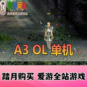 A3OL单机版四职业送GM攻略韩国经典复古网游单机219虚拟机一键端