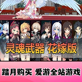 灵魂武器花嫁版72级GM后台虚拟机一键端二次元动漫RPG