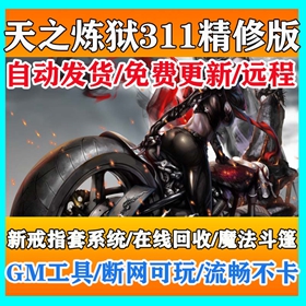 天之炼狱单机精修版311送GM可刷物品点券属性虚拟机爆4-5属性游戏