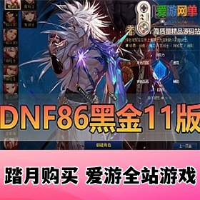 亲测内容【DNF】86级黑金11版五职业女鬼剑带魔枪士徽章等单机Gm后台无限点券装备地...