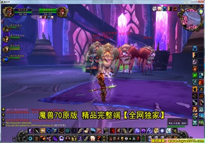 【踏月网单】魔兽世界70网游单机版增加机器人系统特色版
