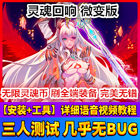 【踏月网单】灵魂回响微变网游单机版 全10倍调整版网单