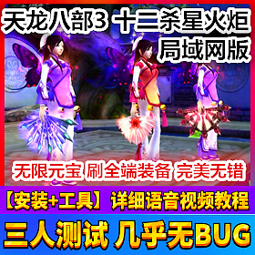 【踏月网单】天龙八部3十二杀星火炬一键局域网版网游单机版网单