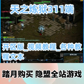 【天之炼狱一键端游戏311端】价值500元的稀有精品VM网游单机版开区版_各种教程文本