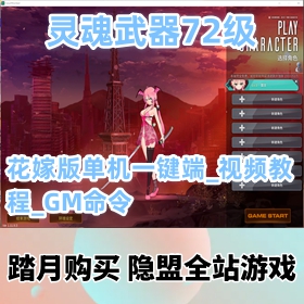 【灵魂武器游戏服务端】精品端72级花嫁版一键端_视频教程_GM命令
