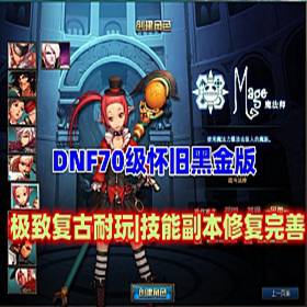 DNF70ڽ ¸ ܸ޸99% ֶ
