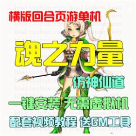 ֮ 2D洳طɵһװGMԪVIP